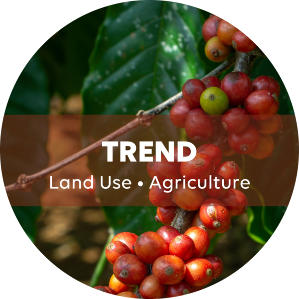 Land Use • How The Coffee Industry Is Dealing With Climate Change ...