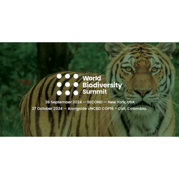 World Biodiversity Summit 2024 Climate Chance