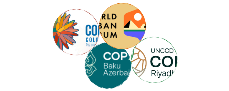 COP16 Biodiversity, WUF12, COP29 Climate and COP16 Desertification: the end-of-year international climate agenda