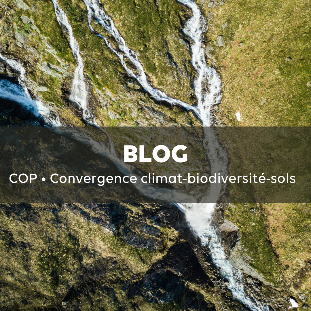 Renforcer la convergence climat-biodiversité-sols : Nouvelle publication du Blog de l’Observatoire