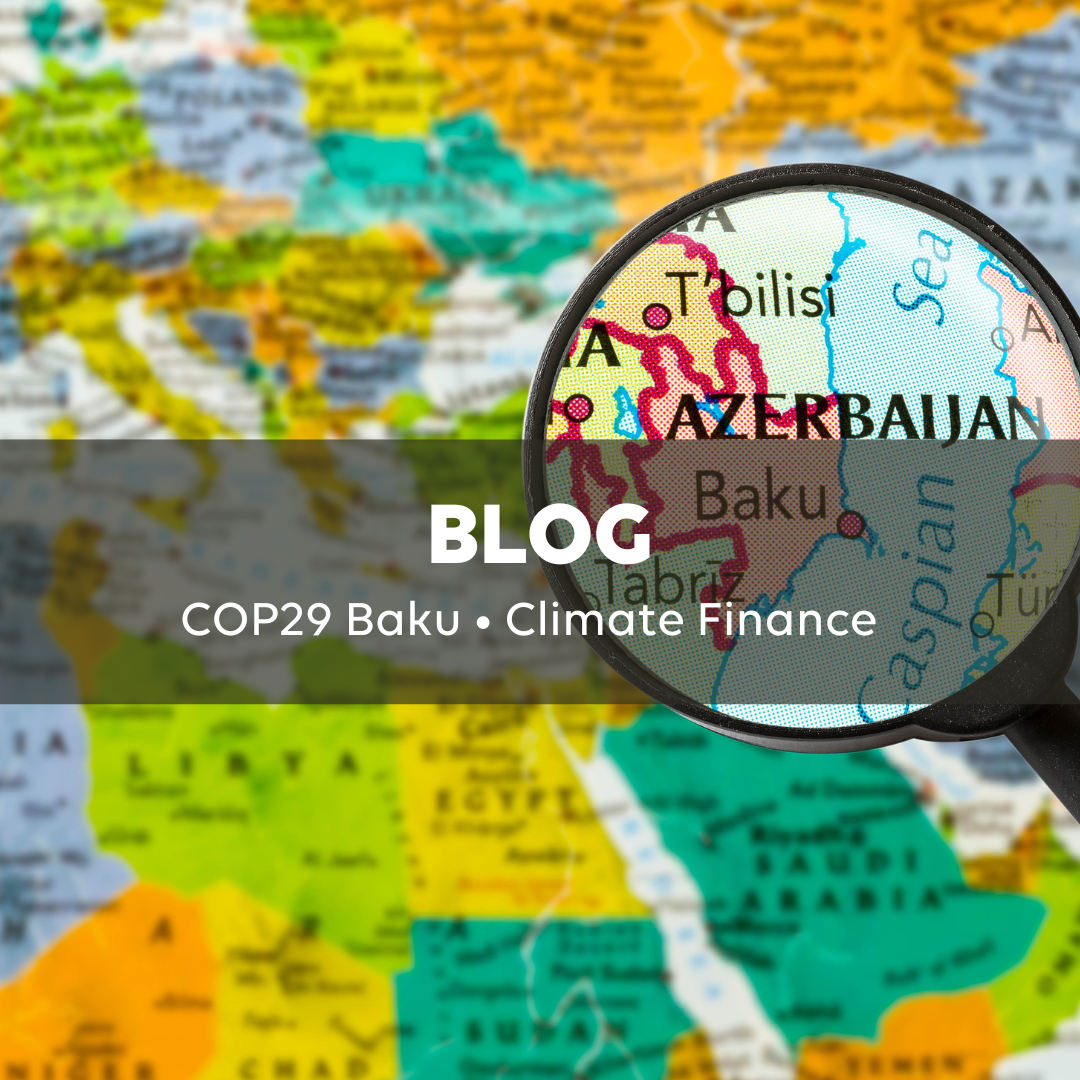 COP29: In a tense geopolitical context, is the Climate Finance target under threat? Discover the Observatory’s new note